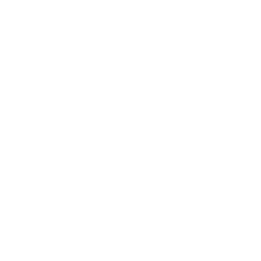 733
